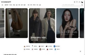 How to Purchase K-Fashion at Low Cost from the WCONCEPT Online Shop in Korea