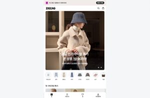 How to Buy at Low Cost from Korea’s K-Fashion ZIGZAG Online Mall